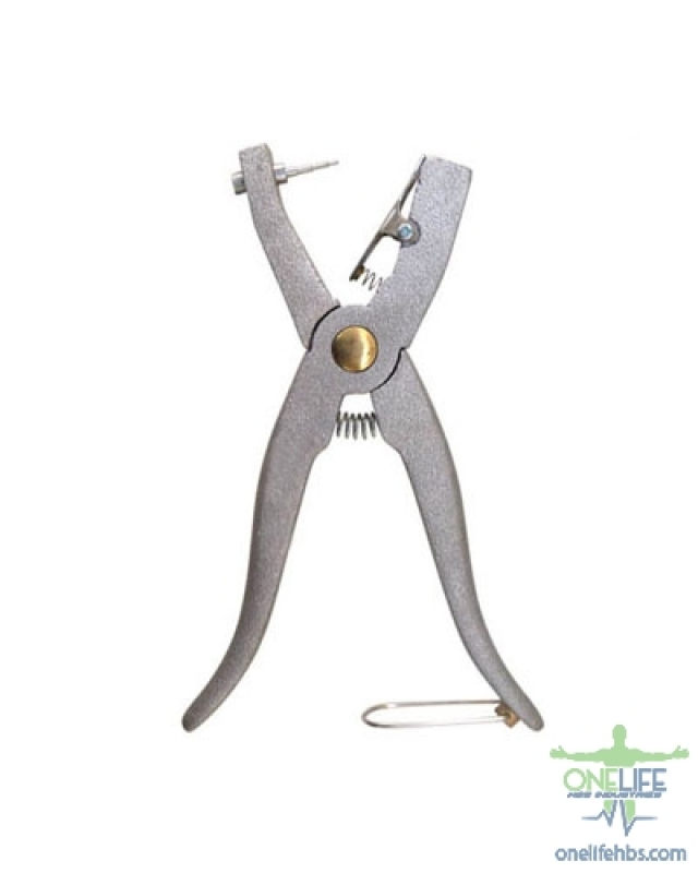 Upper Centrals and Canines
